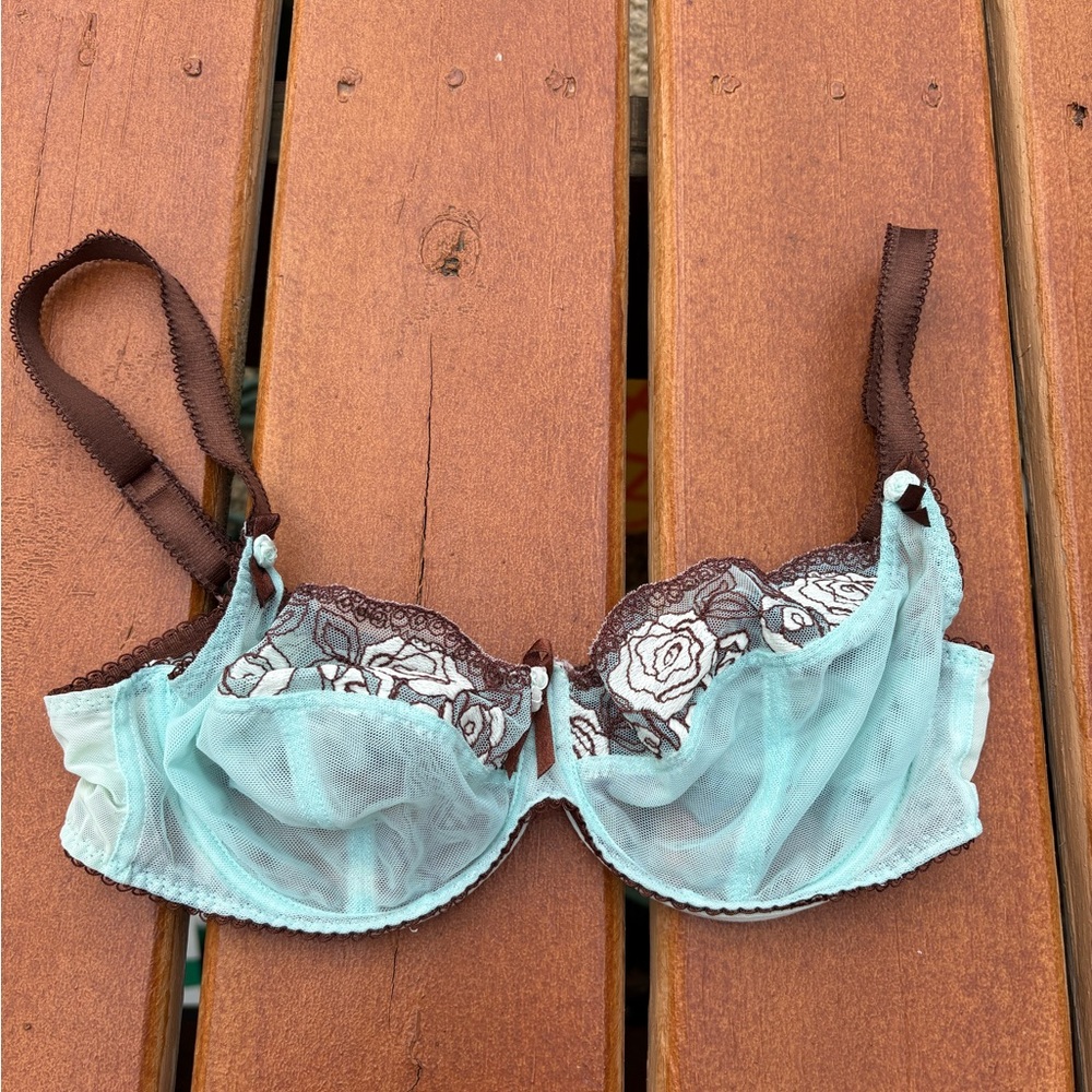 Chic Lace Overlay Bra in Light Blue and Brown